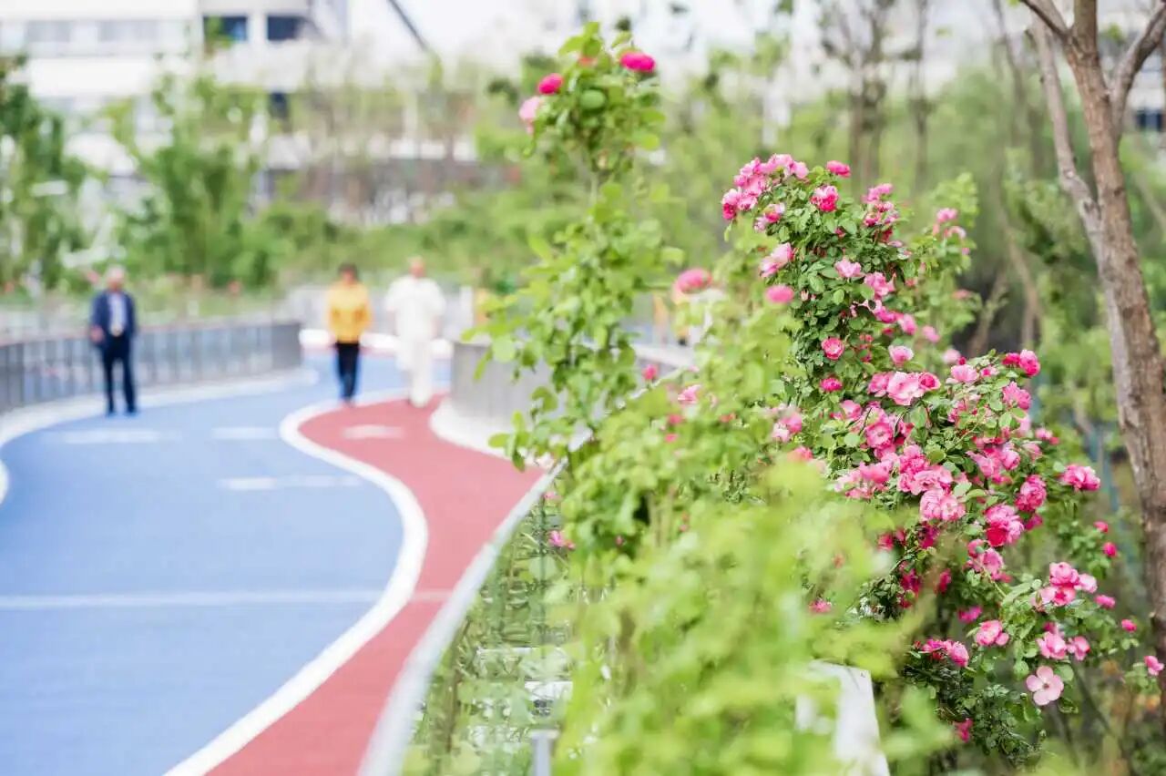 绿廊333.jpg 绿廊333.jpg